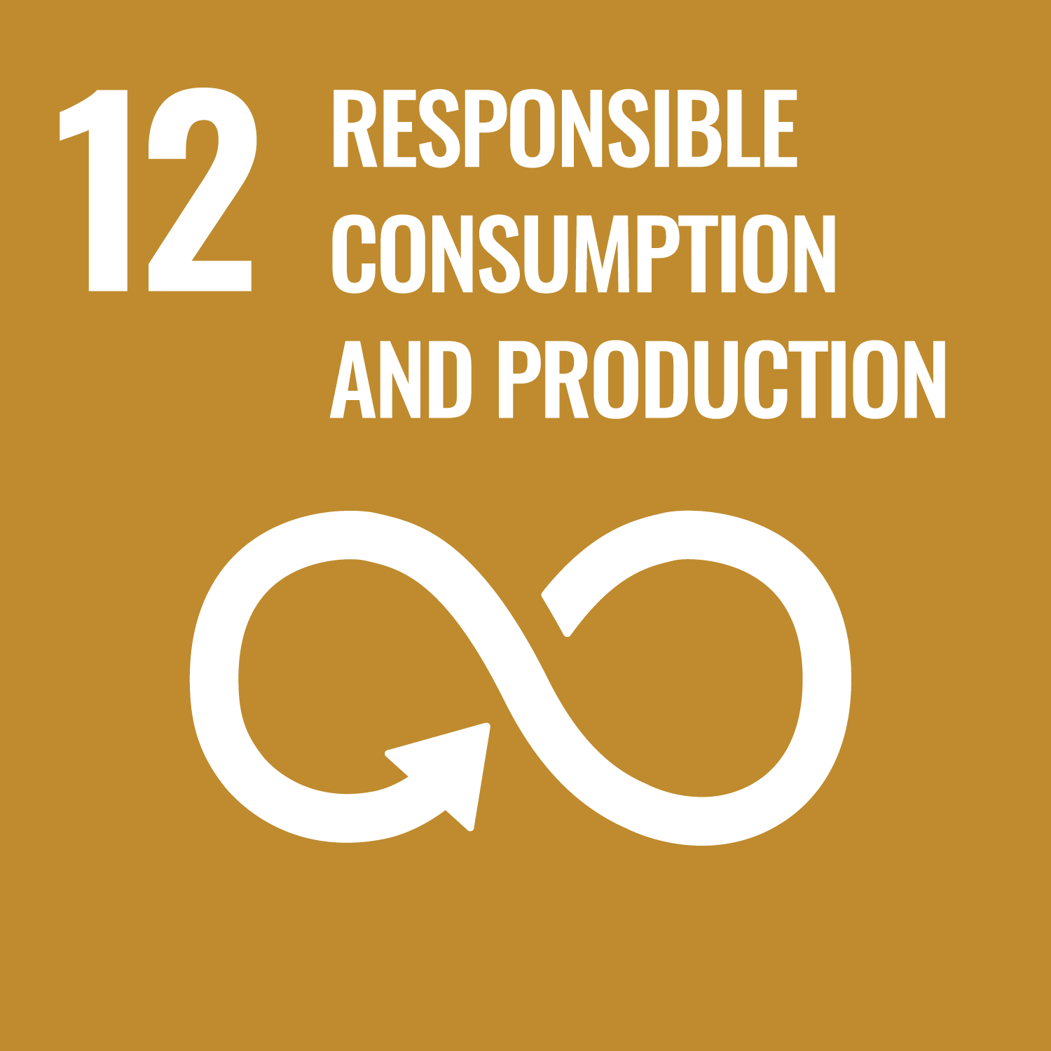 SDG Goal 12 - Responsible Consumption and Production icon