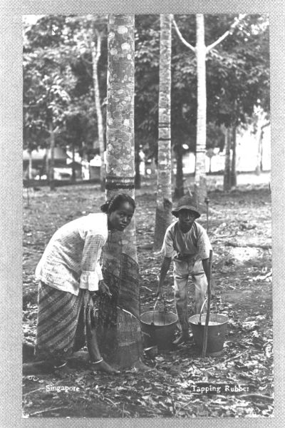 A black and white photo of a female rubber tapper working on a rubber plantation, using a tool to tap the tree for its rubber latex. Next to her, a young boy, likely her son, bends down to carry two buckets of the collected rubber latex.