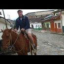 Colombia Sanagustin Horses