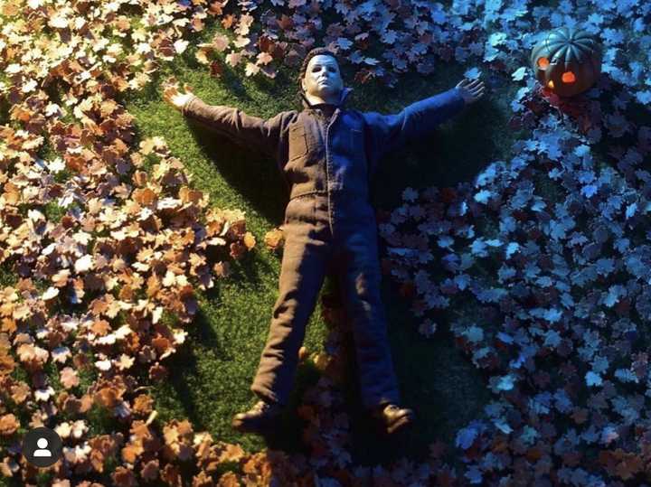 Six Inch Figure Collections Weekly Update 6