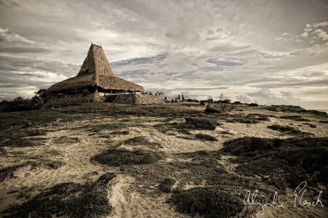 Fumes - Art, Photography, Ideas - 100531 PHOTOGRAPHER ALEJANDRO PLESCH SUMBA 06