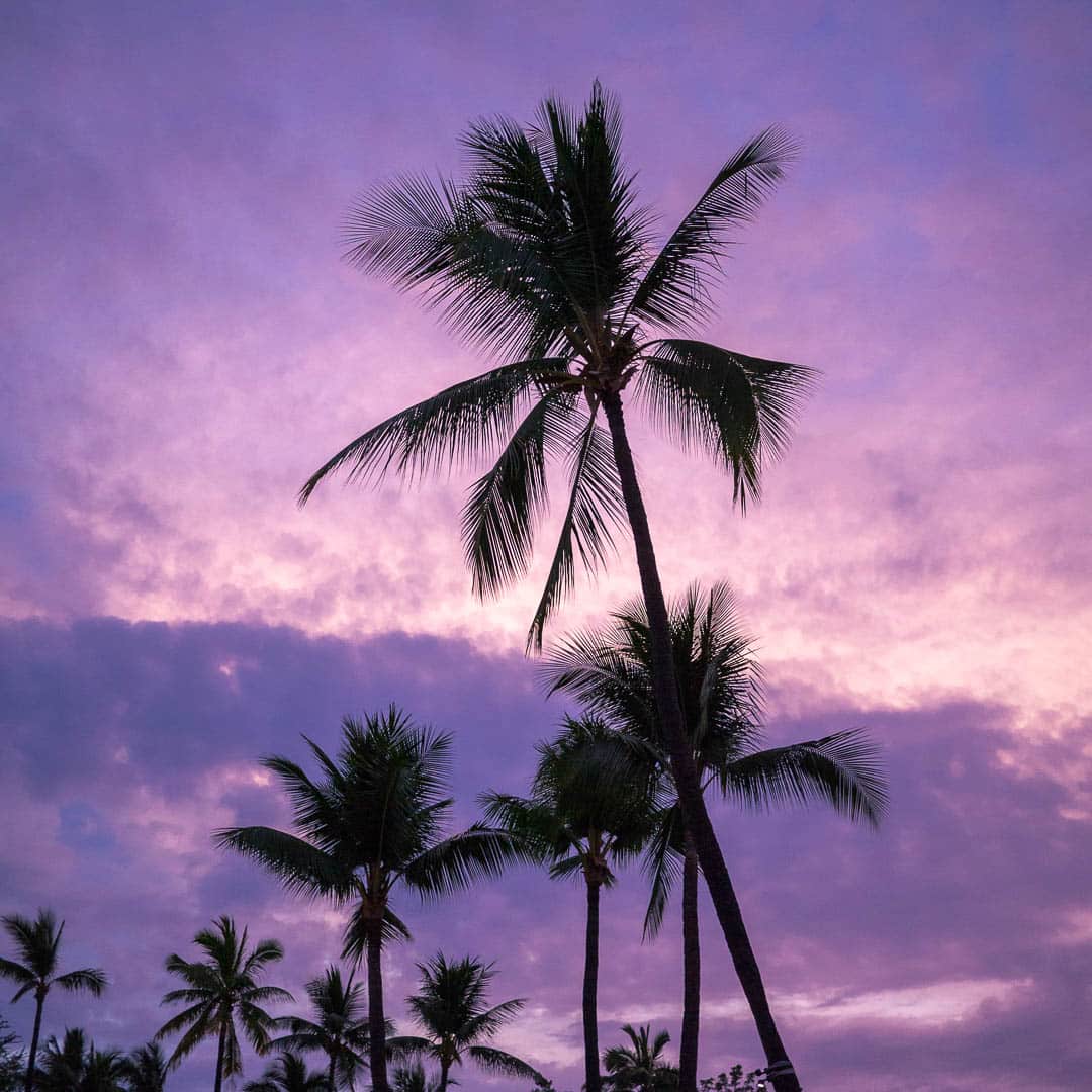 Sunset and a purple sky