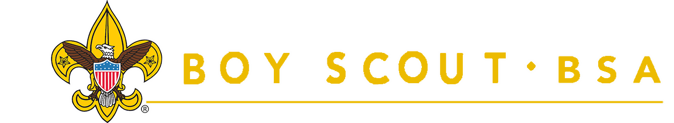 Boy Scouting Logo