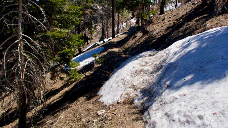 Snow across the trail