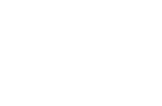 logo-bausch-reverse
