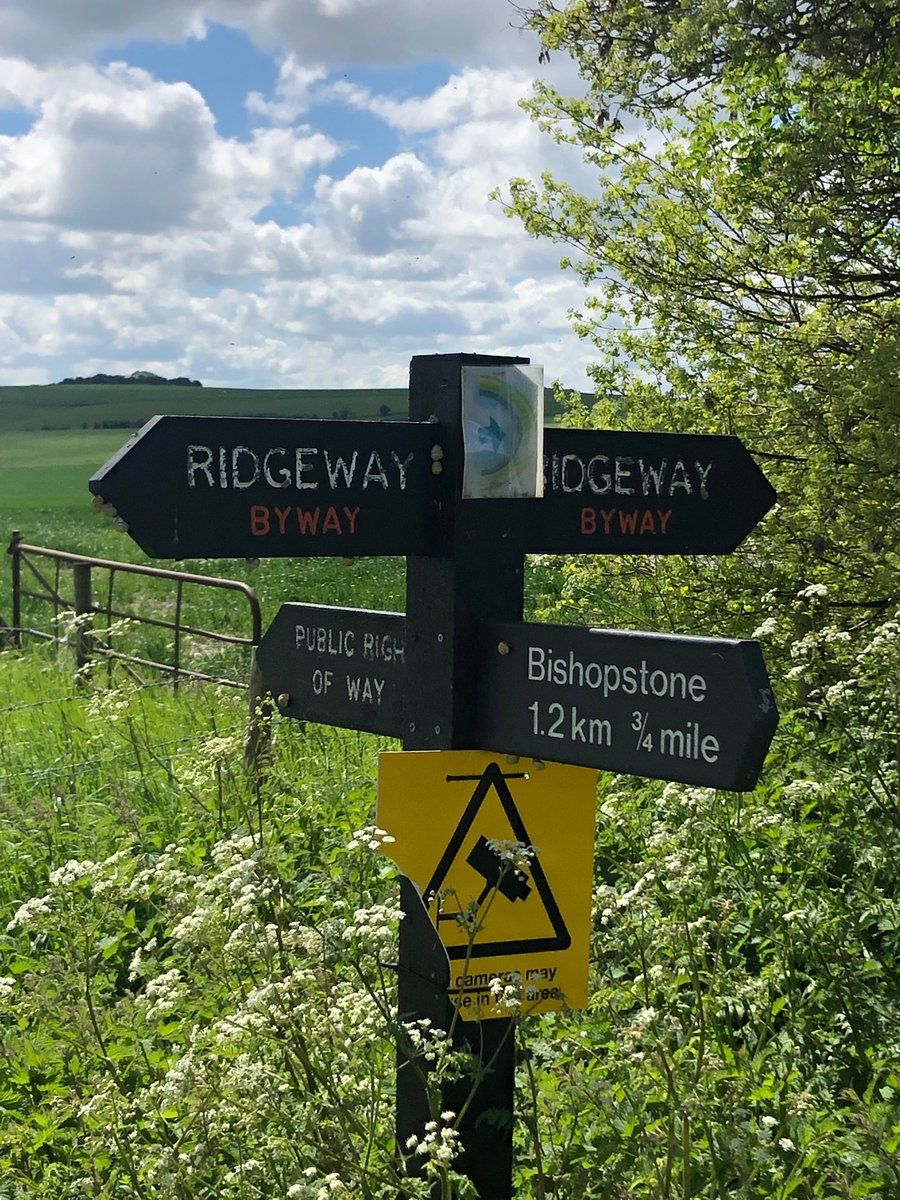 oh my god twitter doesn’t include alt text from images in their API