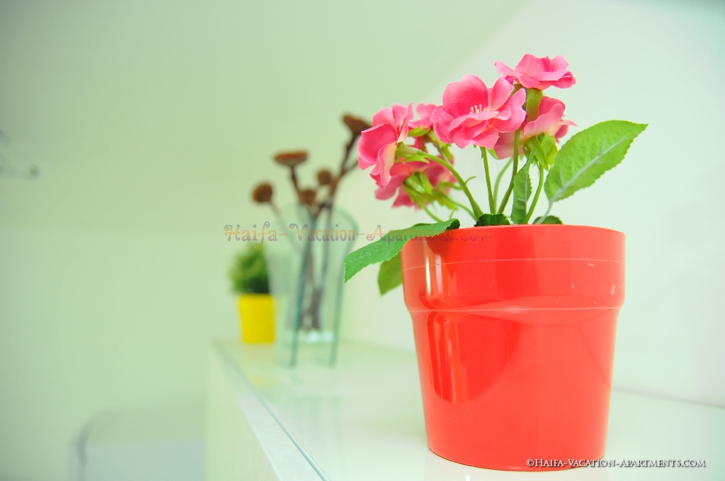 fresh air and vally view