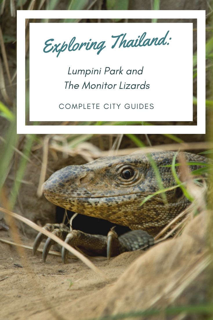 Exploring Bangkok's Lumpini Park and The Monitor Lizards
