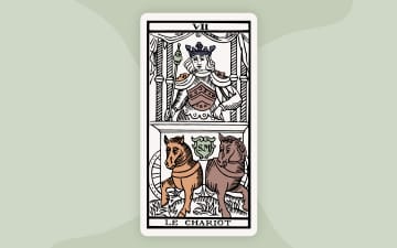 The Chariot Meaning - Major Arcana - Ancient Alchemy Tarot - image