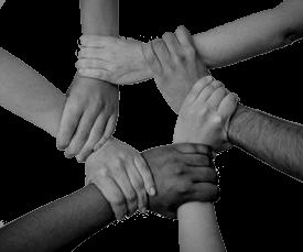 oh my god twitter doesn’t include alt text from images in their API