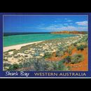 Shark Bay postcard