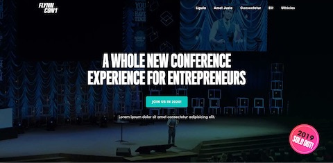 FlynnCon 2 website screenshot