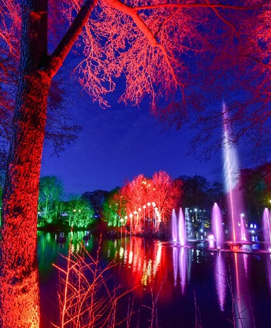 Stockeld Park Winter Illuminations