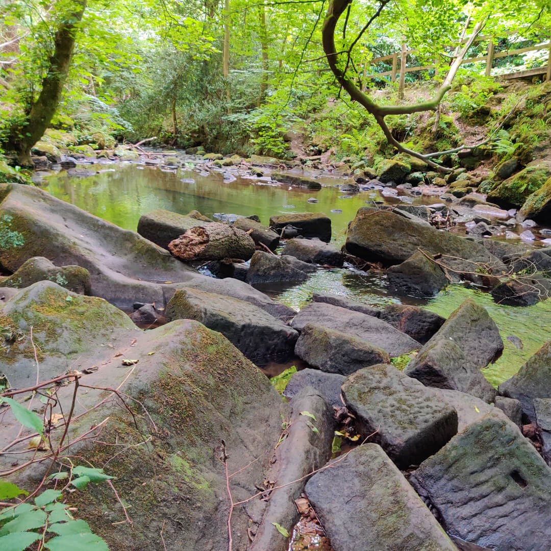 Meanwood Park stream with rocks