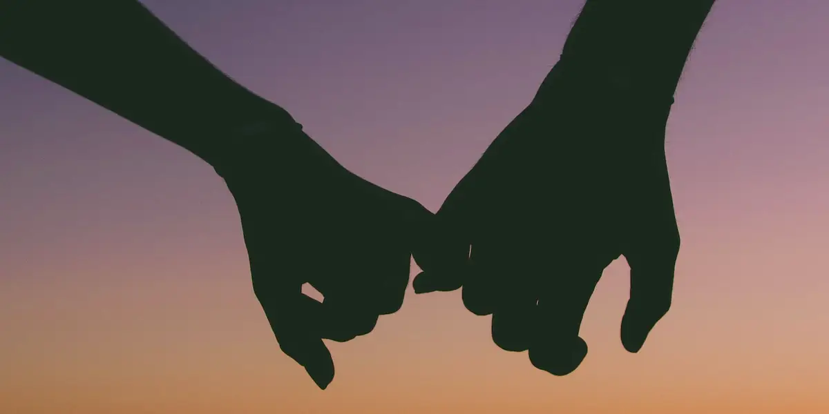 silhoutte of couple holding hands at dusk