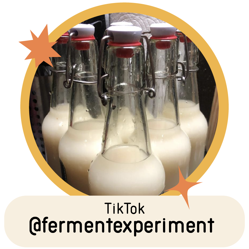 @fermentexperiment on TikTok