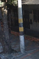 yellow and blakc striped pole