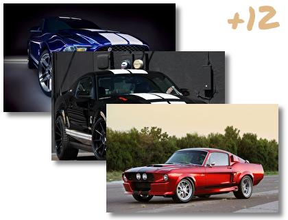 Ford Shelby Gt500 theme pack