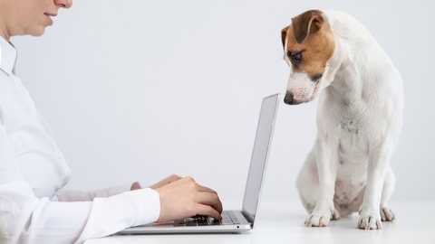 Pet Management Platforms Are Worth the Investment. Here’s Why.