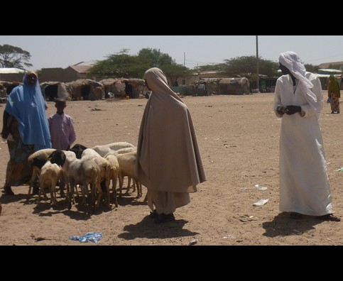 Somalia Animal Market 26
