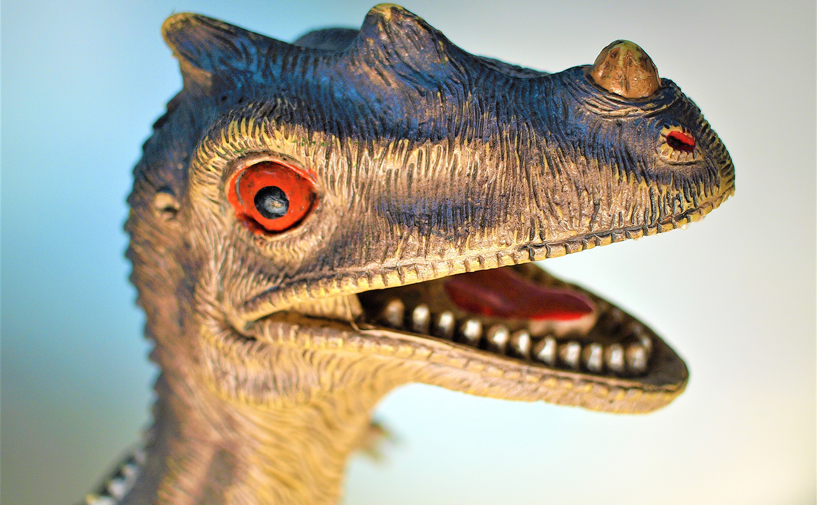 close up of toy dinosaur