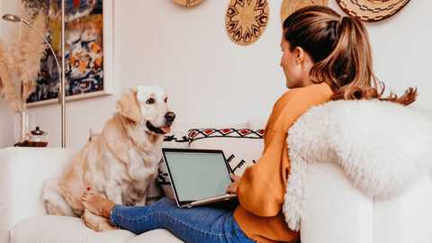 Landlord Q&A: Should You Move to a Pet-Friendly Policy?