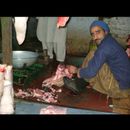 Peshawar butchers 10