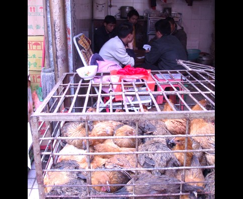 China Kunming Markets 25