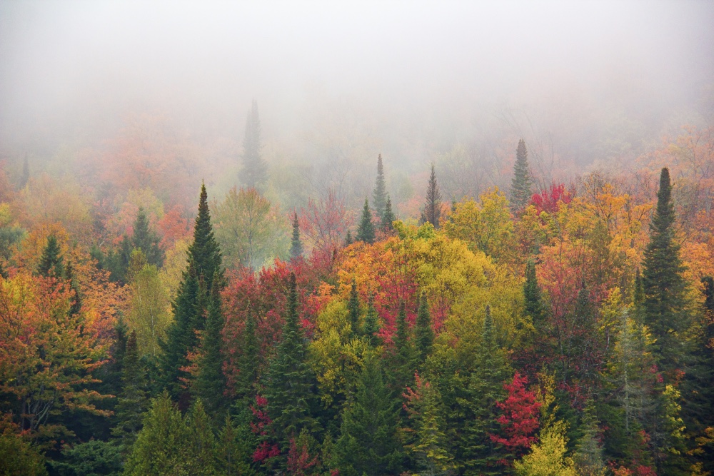 Ruelle de Vancouver durant la nuit