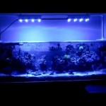 What is points for fish tank to check?