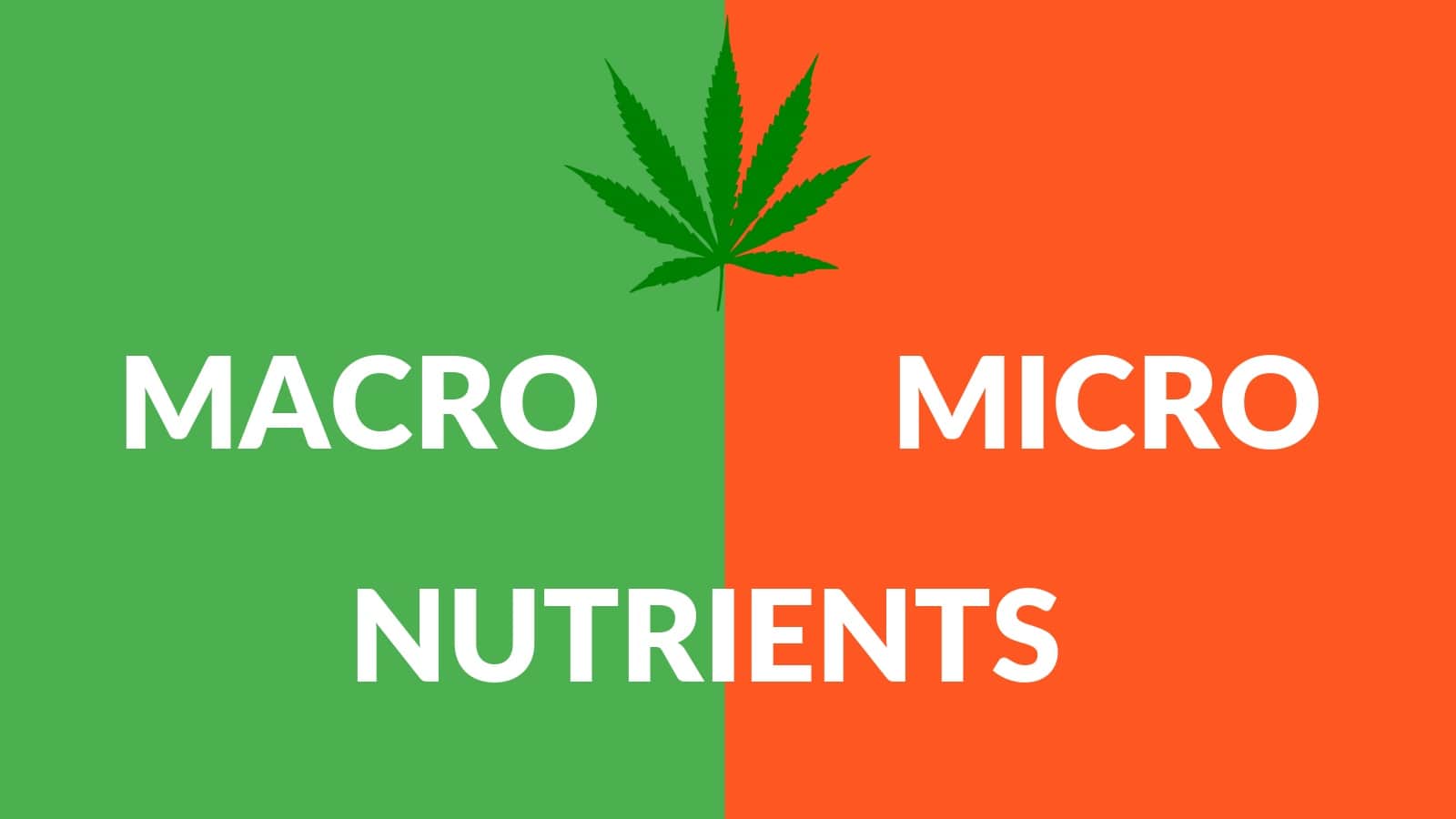 macro nutrients