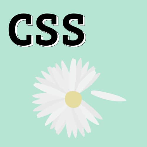 Tener una buena relación con CSS
