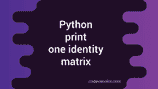 Python program to print one identity matrix - CodeVsColor