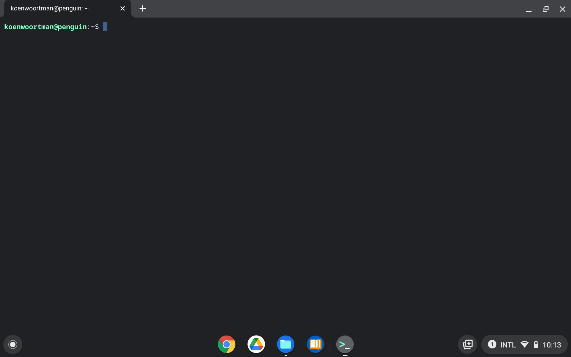 ChromeOS Linux Terminal