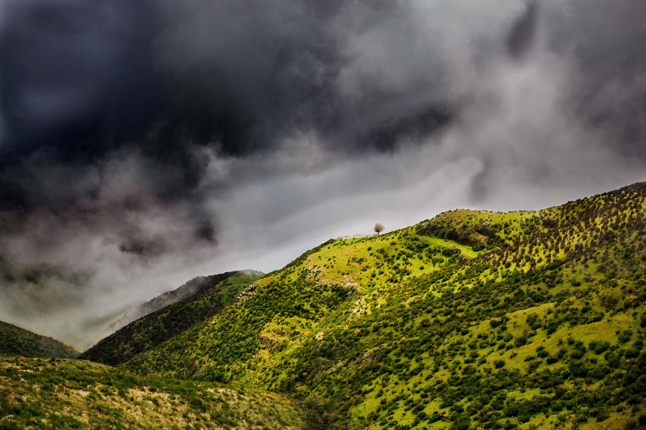 Tree seen in distance in mountain landscape.