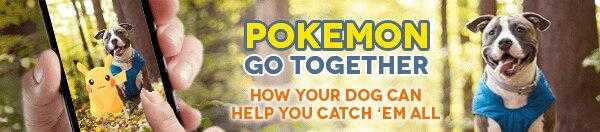 Pokemon Go Together
