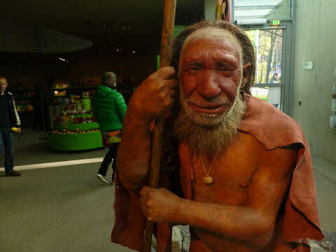 Музей Неандертальского человека