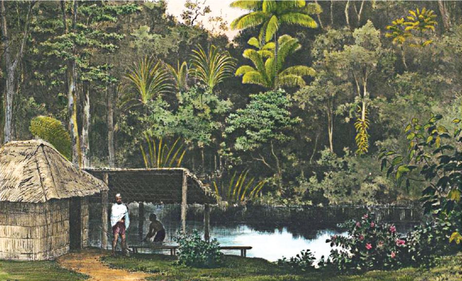Magic Or Medicine Malay Healing Practices