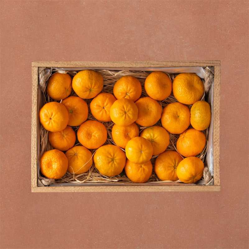 Grec-Epicerie-Grec-Produits-grec-bio-chios-mandarines-1-5kg