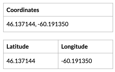 Graphic showing acceptable formats for converting coordinates to addresses (multi-column and single column)
