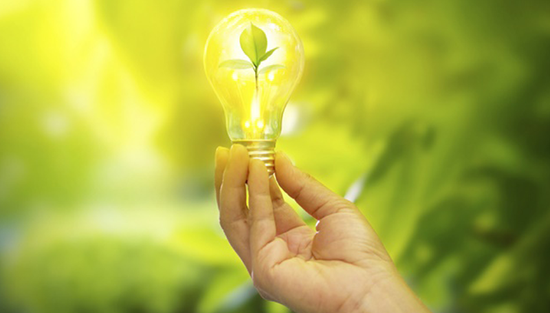 Imagem em destaque para o artigo: 5 ideias inusitadas a favor do meio ambiente