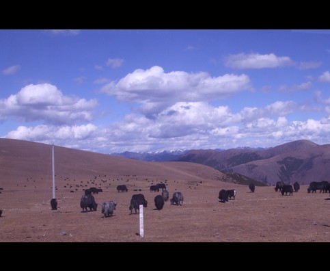 China Tibetan Highway 22