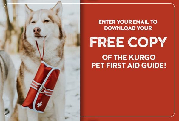 Free Dog First Aid Guide Book | Pet CPR Tips | Kurgo Dog Products