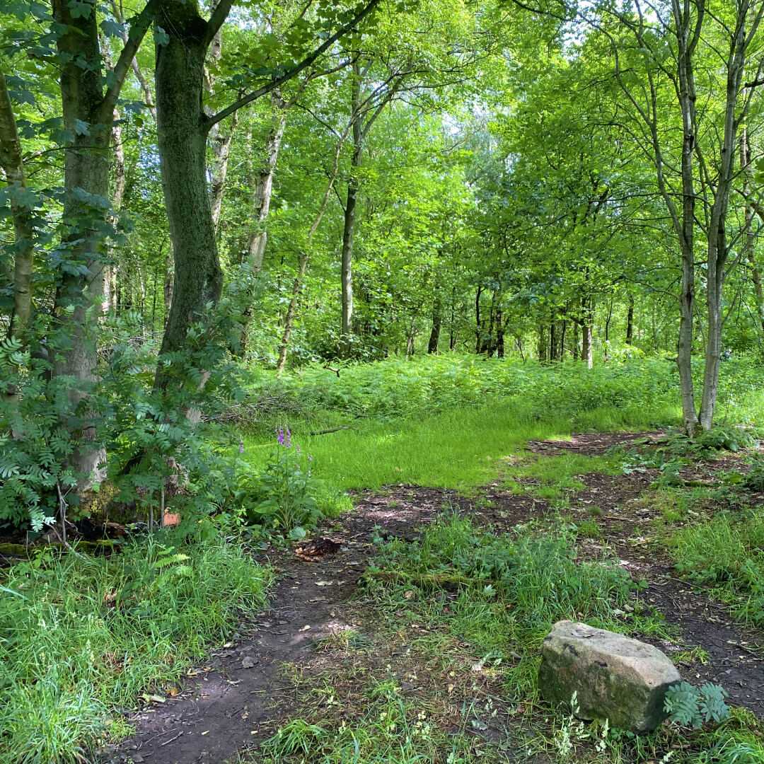 Breary Marsh path