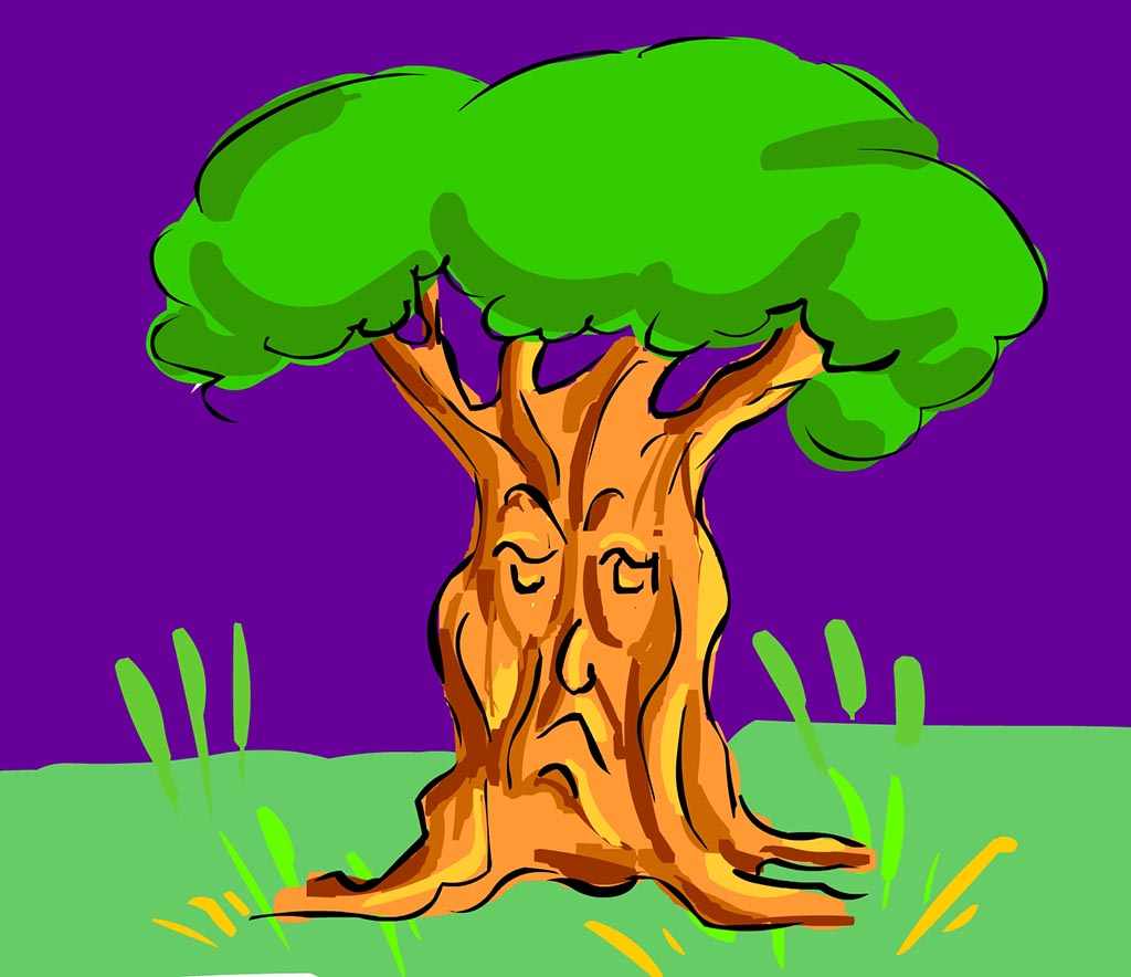 The Fossil Tree