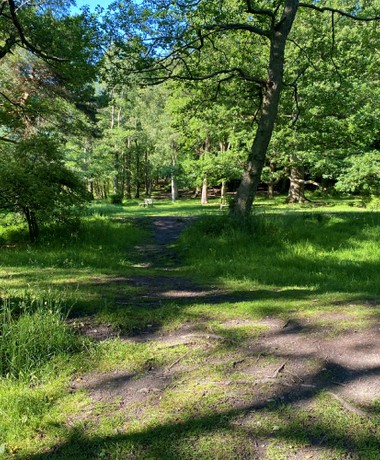 Golden Acre Park Path