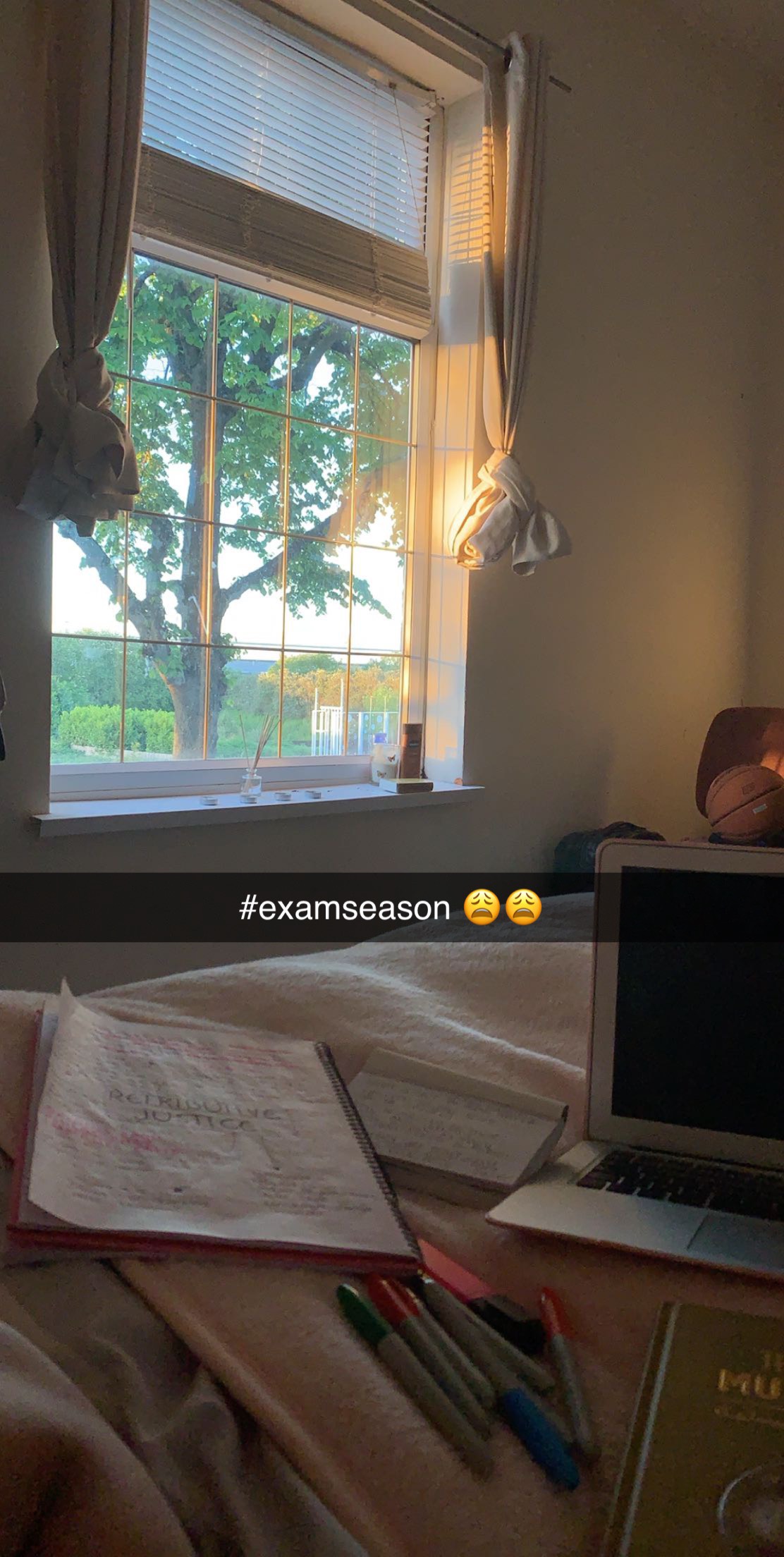 Snapchat of exam revision