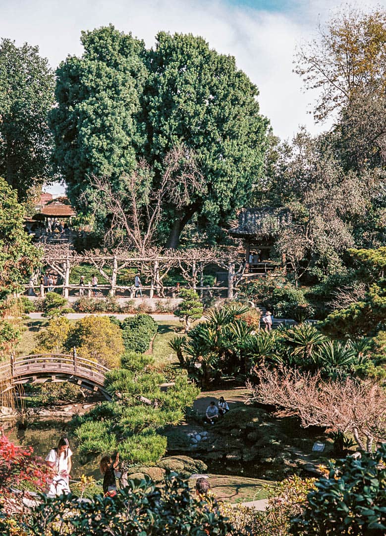 Landscape of the populated area of the Japanese Gardens at Huntington Gardens