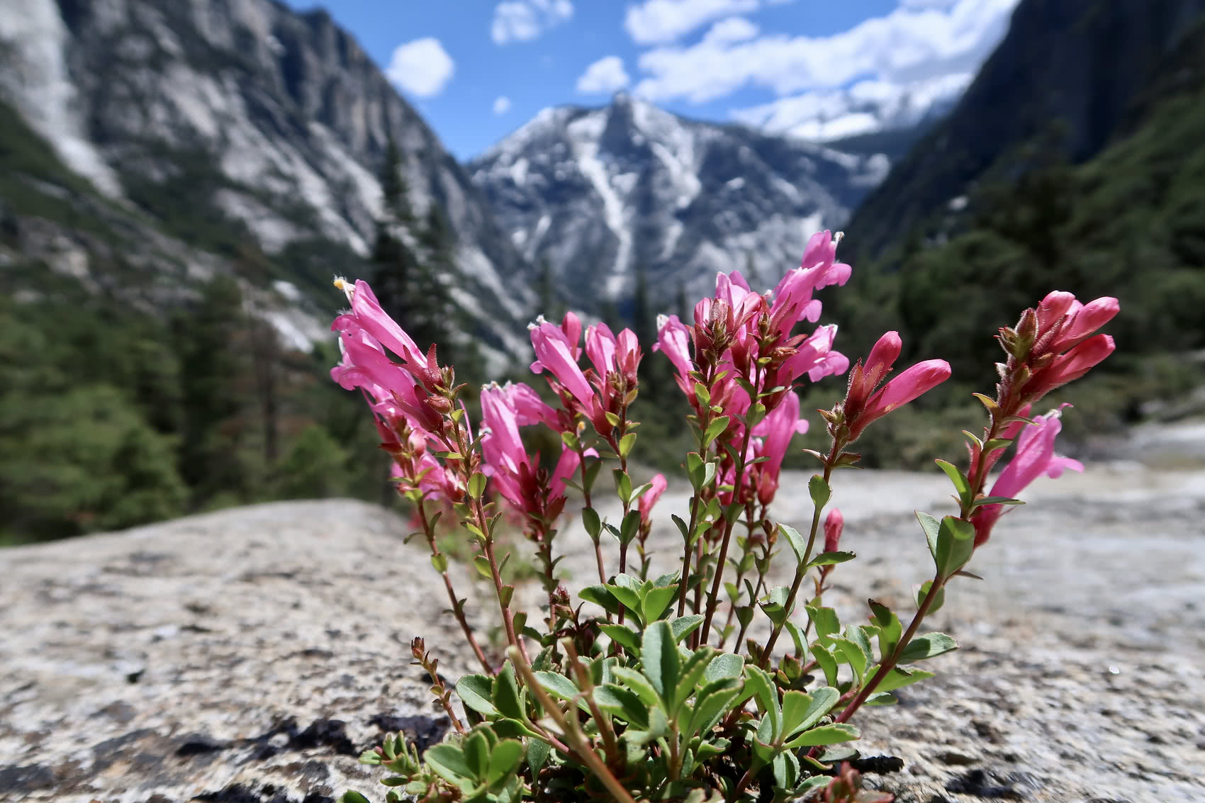 Couldn’t resist an artsy shot!