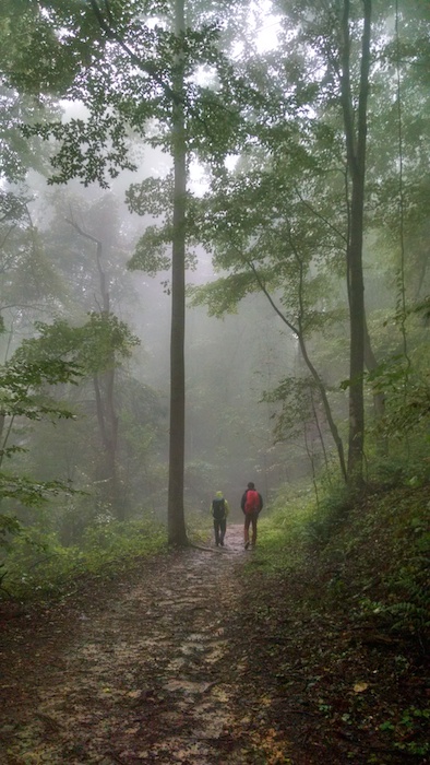 Walking through the rainy woods to climb.